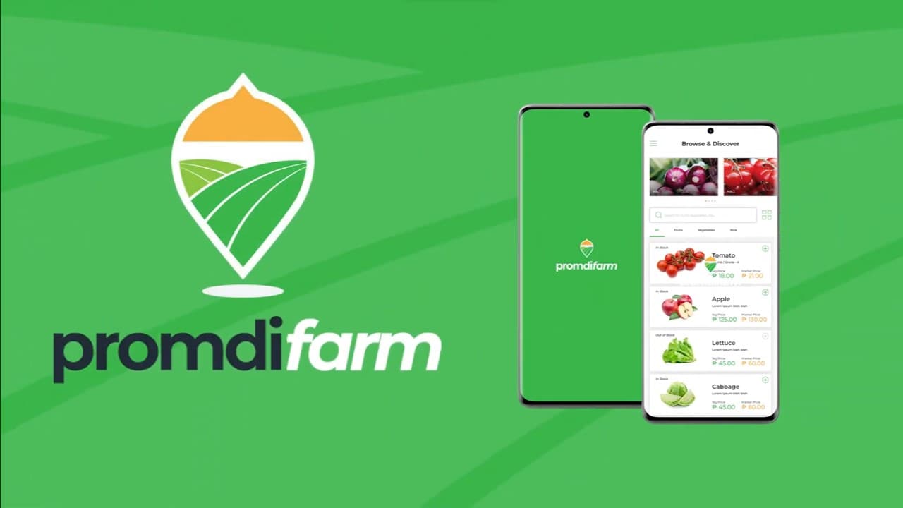 Promdifarm Infographic Video