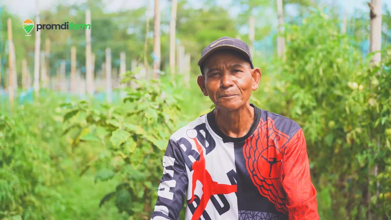 Promdifarm Farmer Testimonial Video